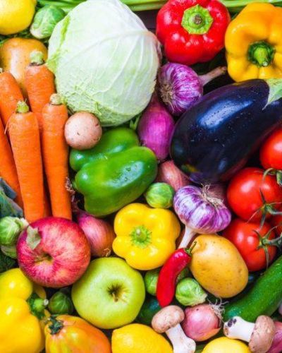 nutrition services
